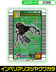 インペリアリスツヤクワガタ（039）［未確定］