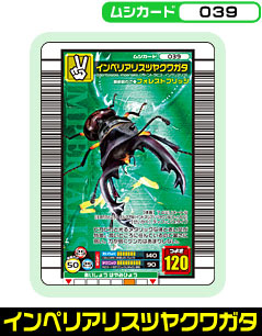 インペリアリスツヤクワガタ（039）［未確定］