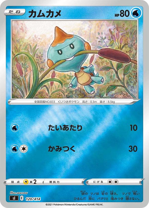 カムカメ（120/414）［-］