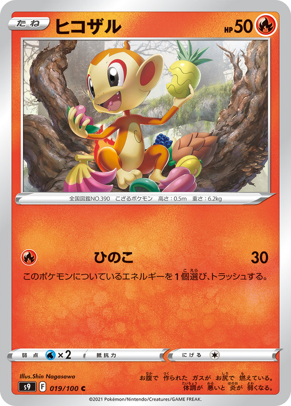 ヒコザル（019/100）［-］