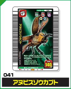 アヌビスゾウカブト（041）［未確定］
