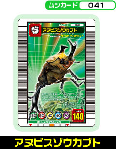 アヌビスゾウカブト（041）［未確定］