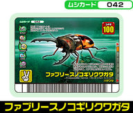 ファブリースノコギリクワガタ（042）［未確定］
