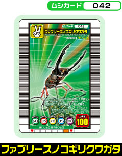 ファブリースノコギリクワガタ（042）［未確定］