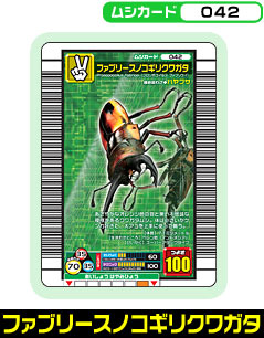 ファブリースノコギリクワガタ（042）［未確定］
