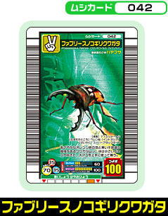 ファブリースノコギリクワガタ（042）［未確定］