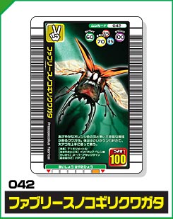 ファブリースノコギリクワガタ（042）［未確定］