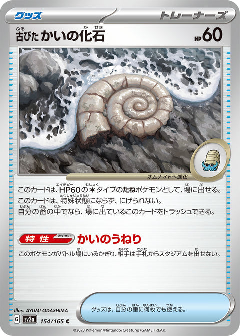 古びたかいの化石（154/165）［-］