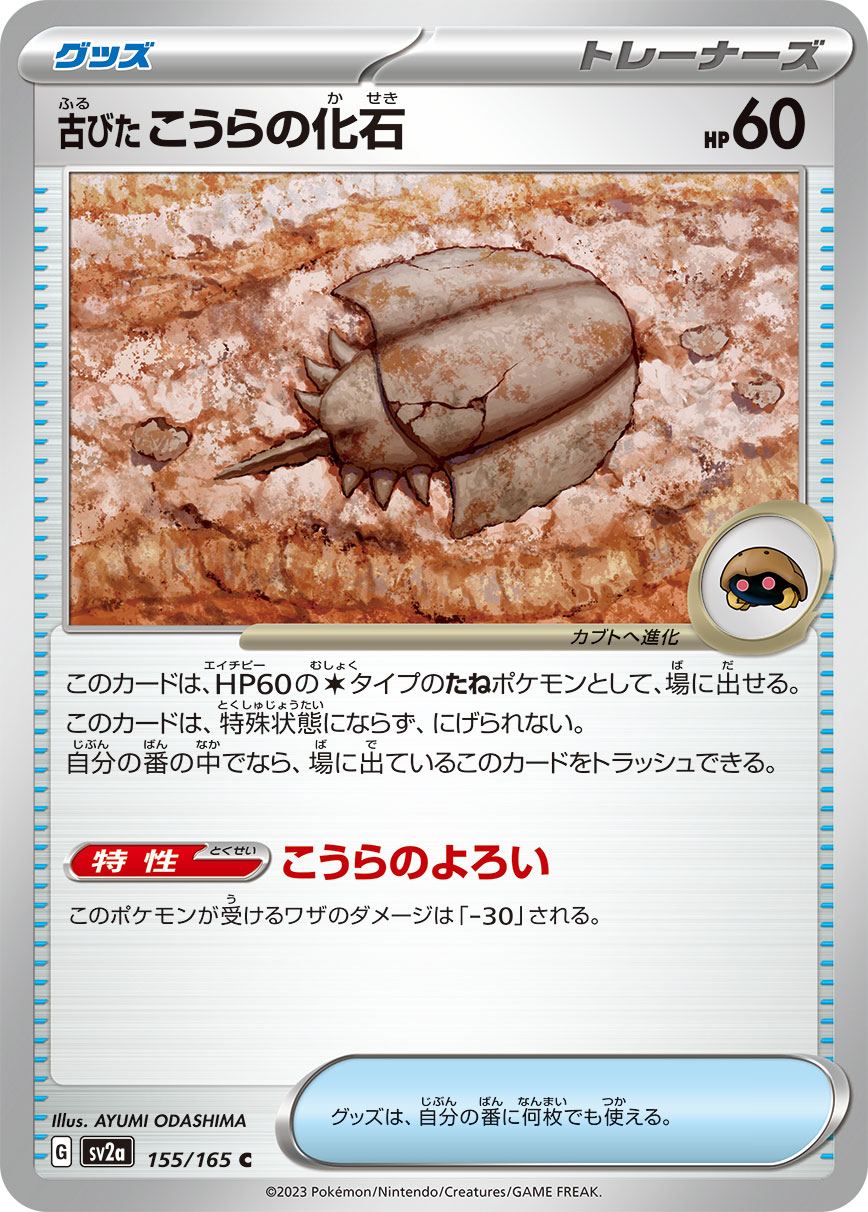 古びたこうらの化石（155/165）［-］