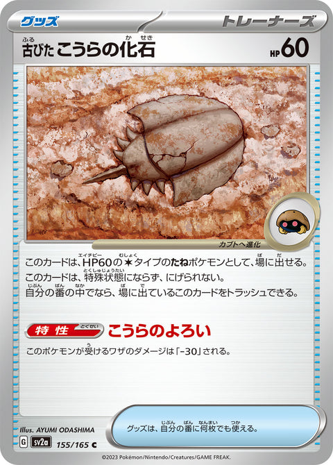古びたこうらの化石（155/165）［-］