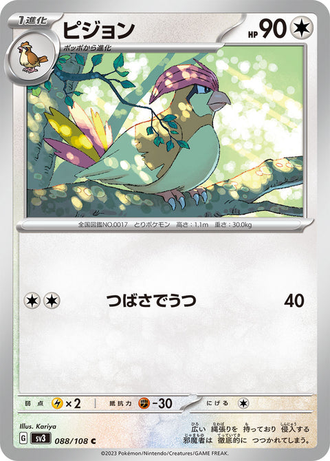 ピジョン（088/108）［-］