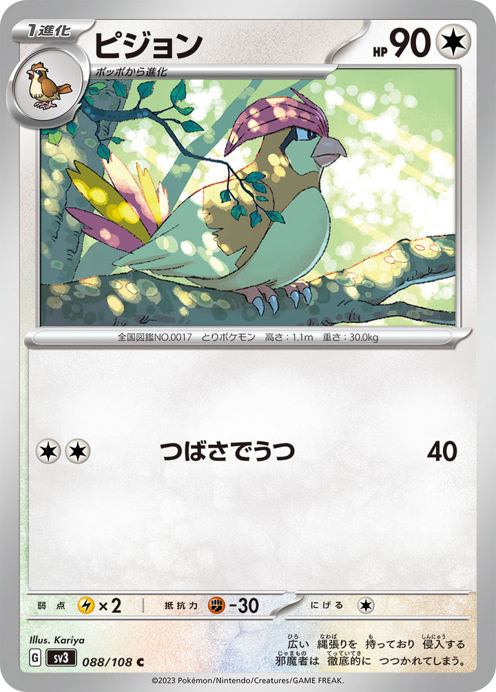 ピジョン（088/108）［-］