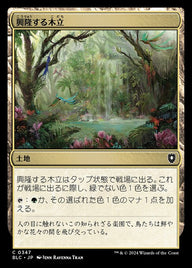 興隆する木立（BLC 347・通常・日本語）
