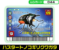 ハスタートノコギリクワガタ（044）［未確定］