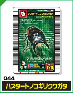 ハスタートノコギリクワガタ（044）［未確定］