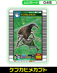 ケブカヒメカブト（045）［未確定］