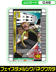 フェイスタメルシワバネクワガタ（046）［未確定］