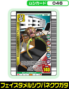 フェイスタメルシワバネクワガタ（046）［未確定］