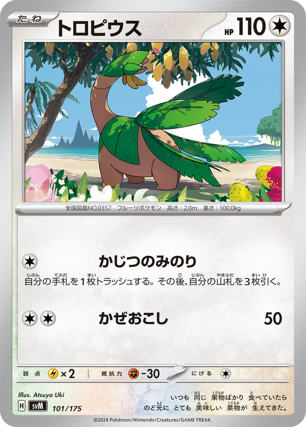 トロピウス（101/175）［-］
