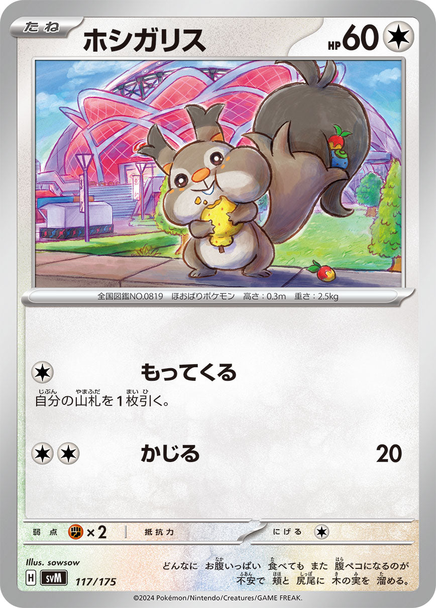 ホシガリス（117/175）［-］