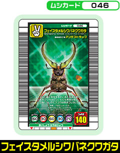 フェイスタメルシワバネクワガタ（046）［未確定］
