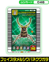 フェイスタメルシワバネクワガタ（046）［未確定］