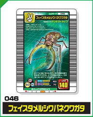 フェイスタメルシワバネクワガタ（046）［未確定］