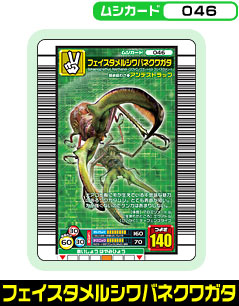 フェイスタメルシワバネクワガタ（046）［未確定］