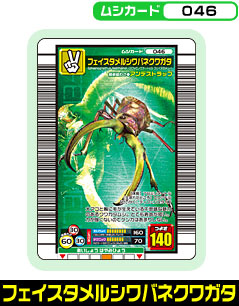 フェイスタメルシワバネクワガタ（046）［未確定］