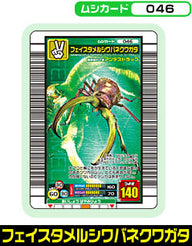フェイスタメルシワバネクワガタ（046）［未確定］