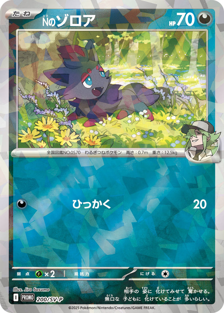 Nのゾロア（200/SV-P）［-］