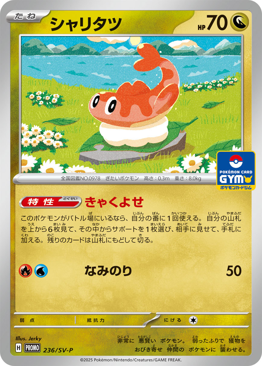 シャリタツ（236/SV-P）［-］