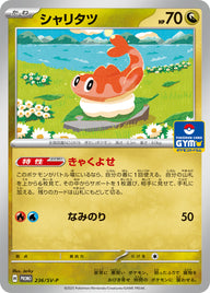 シャリタツ（236/SV-P）［-］