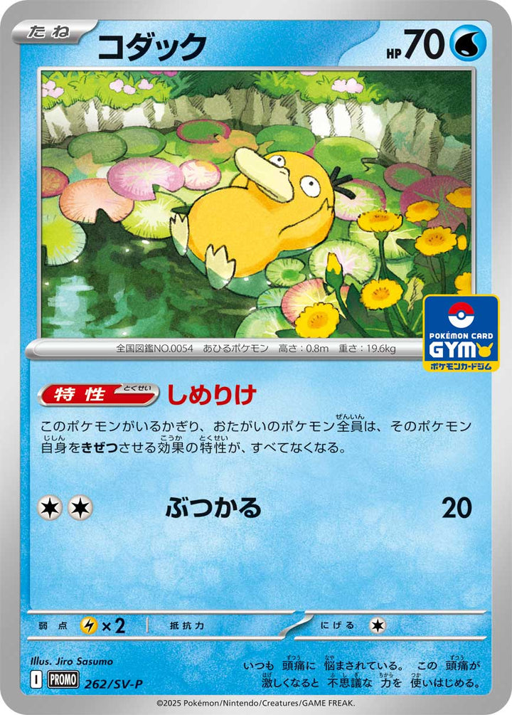 コダック（262/SV-P）［-］