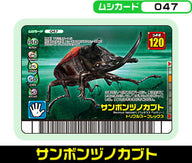 サンボンヅノカブト（047）［未確定］