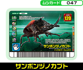 サンボンヅノカブト（047）［未確定］