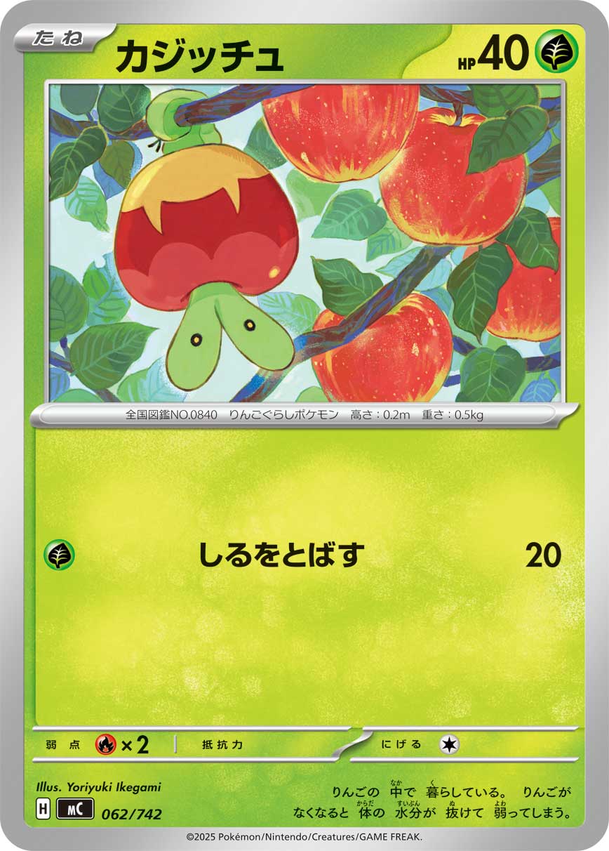 カジッチュ（062/742）［-］