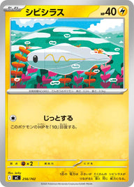 シビシラス（256/742）［-］