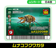ムナコブクワガタ（048）［未確定］