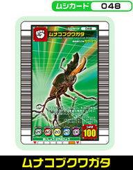 ムナコブクワガタ（048）［未確定］