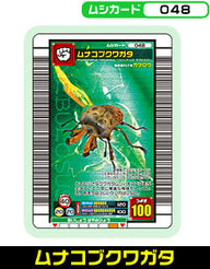 ムナコブクワガタ（048）［未確定］