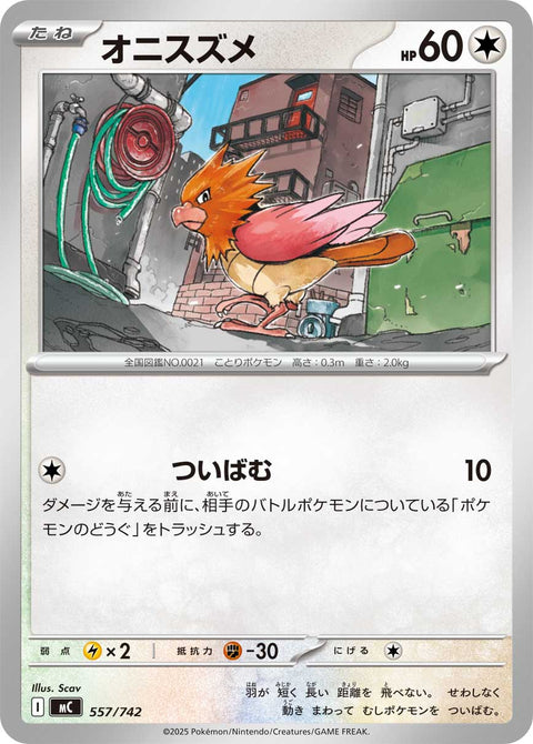 オニスズメ（557/742）［-］