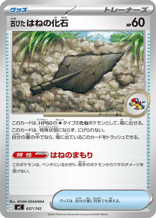 古びたはねの化石（657/742）［-］