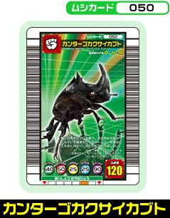 カンターゴカクサイカブト（050）［未確定］