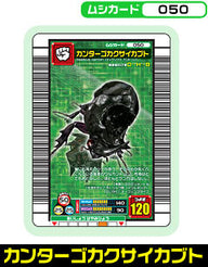 カンターゴカクサイカブト（050）［未確定］