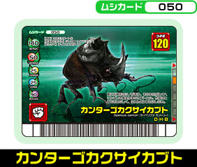 カンターゴカクサイカブト（050）［未確定］