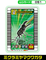 ミクラミヤマクワガタ（051）［未確定］