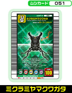 ミクラミヤマクワガタ（051）［未確定］