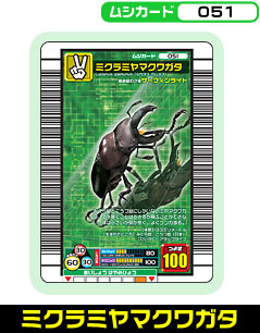 ミクラミヤマクワガタ（051）［未確定］