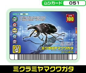 ミクラミヤマクワガタ（051）［未確定］